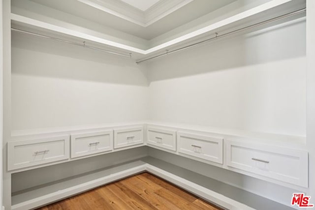 spacious closet with wood-type flooring