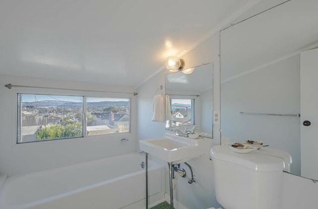 bathroom with vaulted ceiling, toilet, and a bathtub