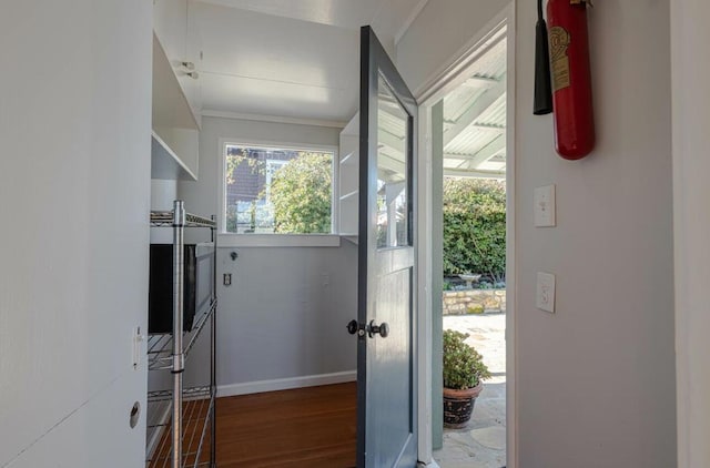 entryway featuring dark hardwood / wood-style flooring