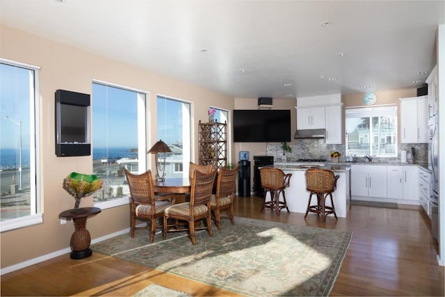 dining space featuring sink and dark hardwood / wood-style flooring