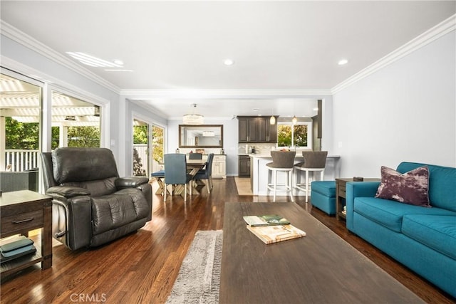 living room featuring dark wood-type flooring and ornamental molding