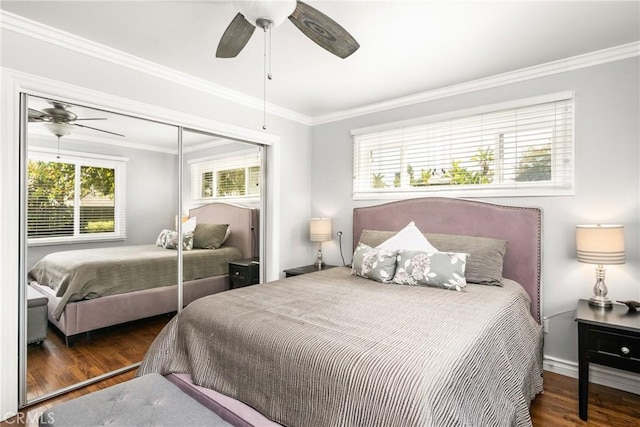 bedroom with ceiling fan, dark wood-type flooring, a closet, and ornamental molding