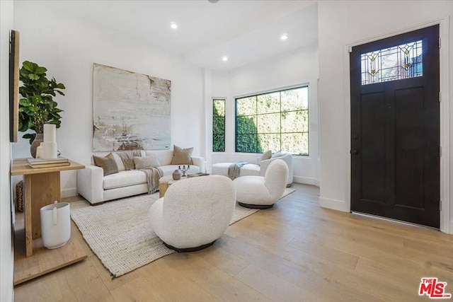 living room with light hardwood / wood-style floors