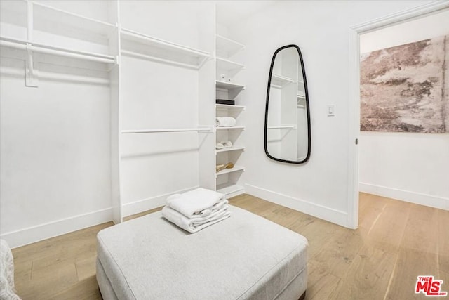 walk in closet featuring wood-type flooring