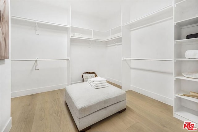 spacious closet with wood-type flooring