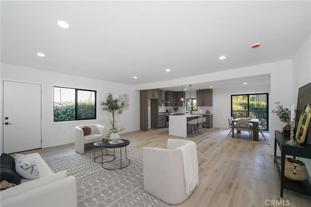 living room featuring light hardwood / wood-style flooring and a wealth of natural light