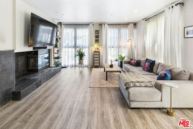 living room with wood-type flooring