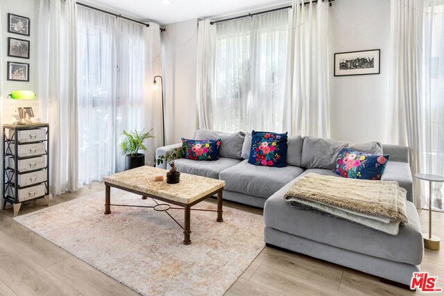 living room featuring light hardwood / wood-style floors