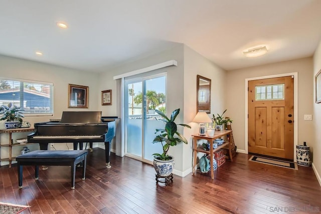 foyer with dark wood-type flooring