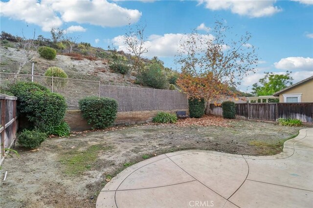 view of yard with a patio area