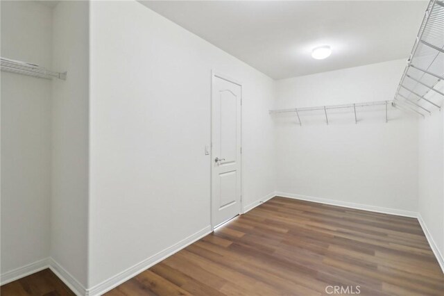 spacious closet with dark wood-type flooring