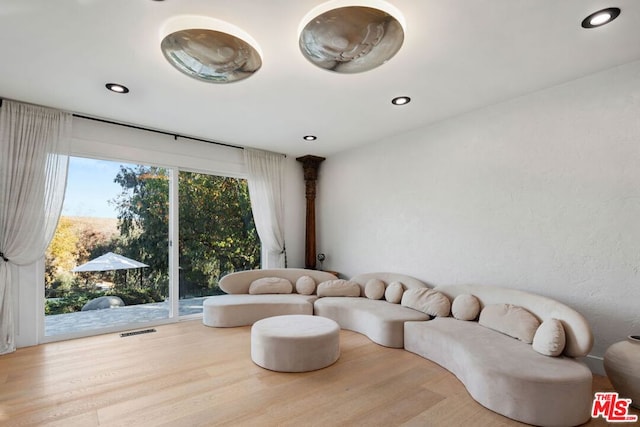 living room with wood-type flooring