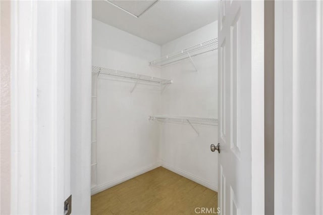 walk in closet featuring light wood-type flooring