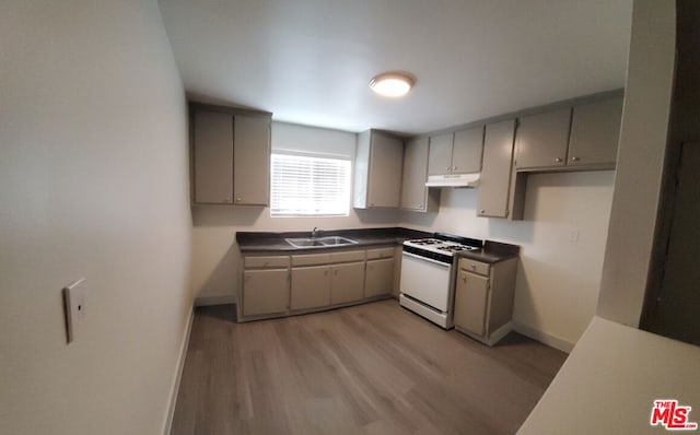 kitchen with light wood-type flooring, sink, gray cabinetry, and white gas range