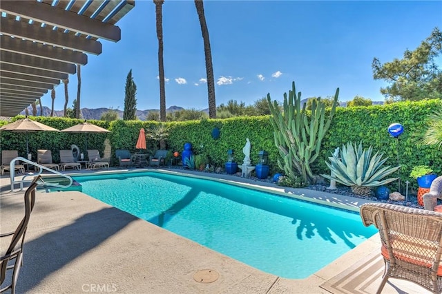 view of swimming pool featuring a pergola and a patio area