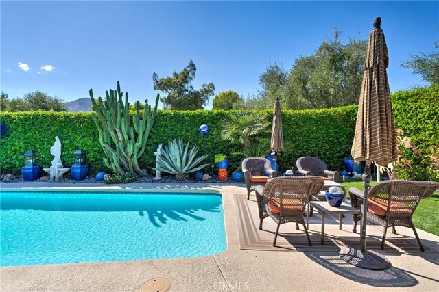 view of pool with a patio area