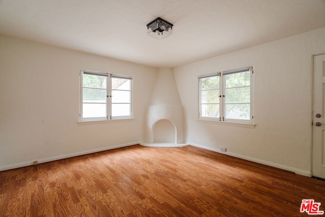 empty room with light wood-type flooring and a wealth of natural light