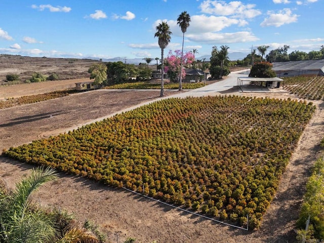 view of yard with a rural view