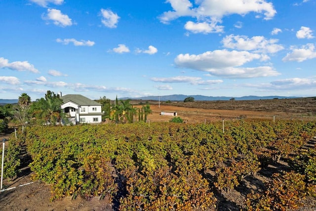 view of yard featuring a rural view and a mountain view