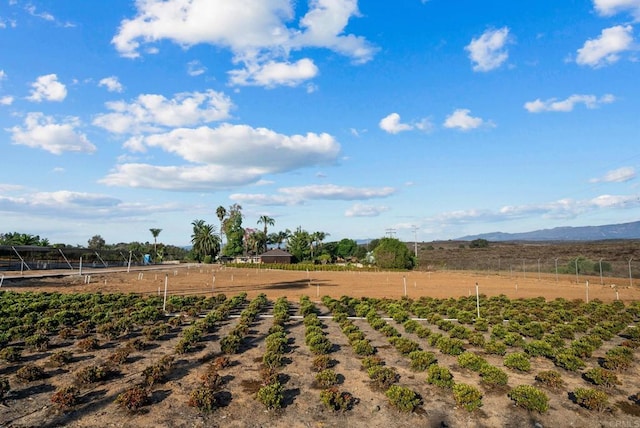 view of yard featuring a rural view and a mountain view