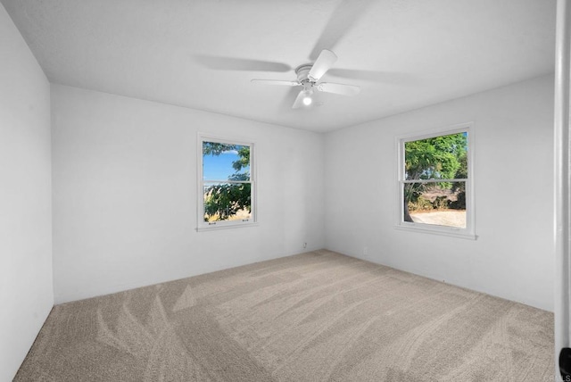 carpeted empty room featuring ceiling fan and a wealth of natural light