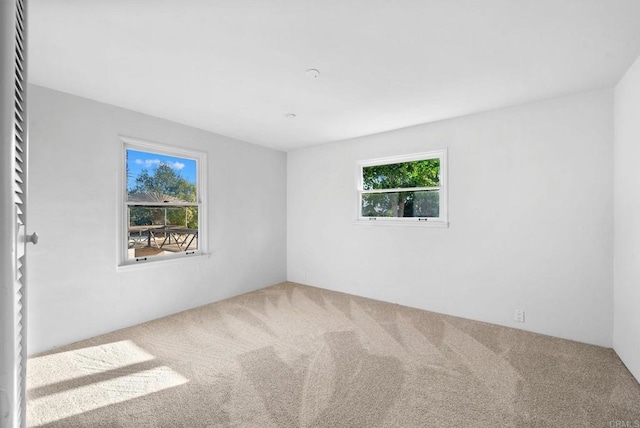 spare room featuring carpet flooring