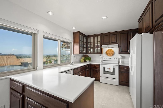 kitchen featuring dark brown cabinetry, sink, and white appliances