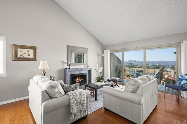 living room with wood-type flooring, a fireplace, a mountain view, and a wealth of natural light