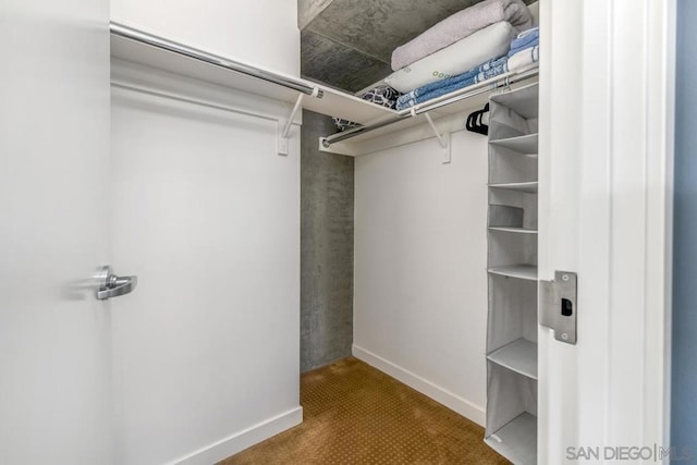 spacious closet with carpet flooring