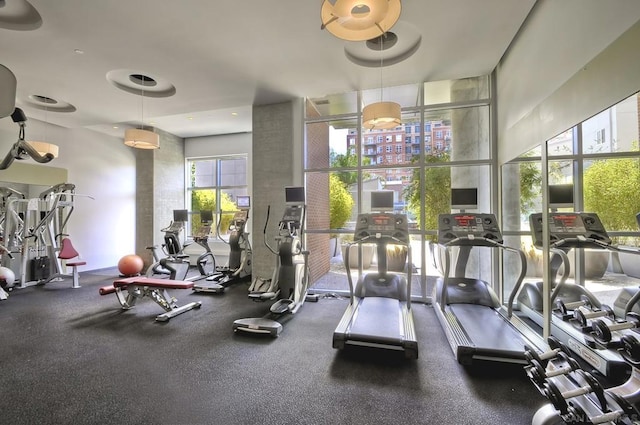 exercise room with a healthy amount of sunlight