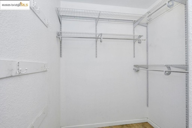 spacious closet featuring hardwood / wood-style flooring