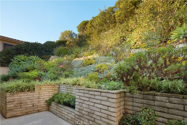 3024 Breakers Dr, Corona Del Mar, CA 92625 - view of yard