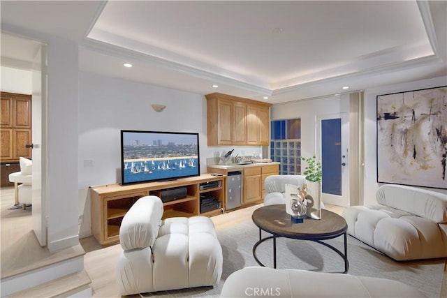 living room featuring sink and a tray ceiling