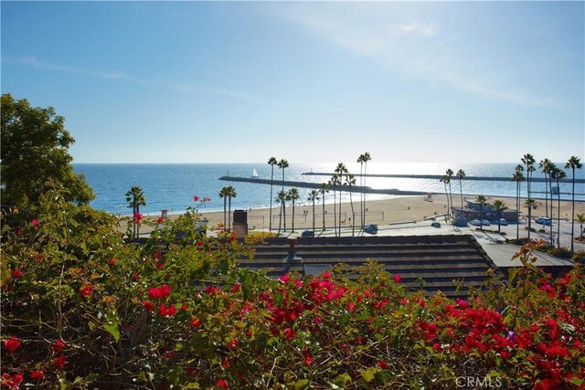 view of water feature with a beach view