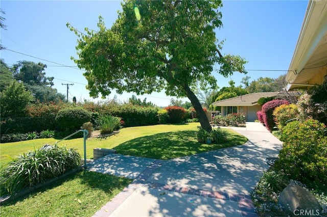 view of home's community with a lawn