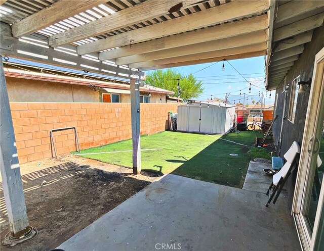 view of yard with a patio area and a storage shed