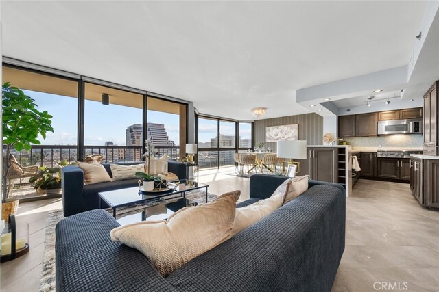 living room featuring floor to ceiling windows and a wealth of natural light