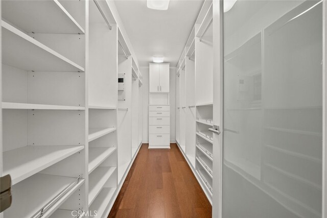 walk in closet featuring dark hardwood / wood-style floors