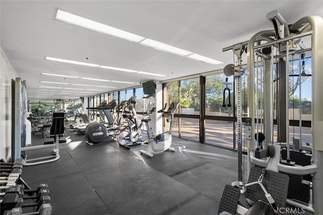 exercise room featuring a wall of windows