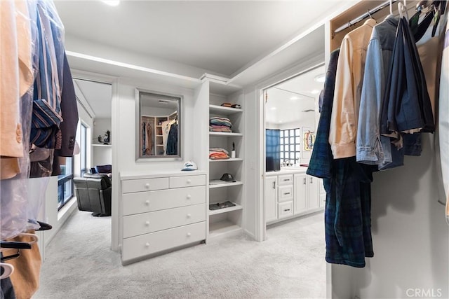 spacious closet with light carpet