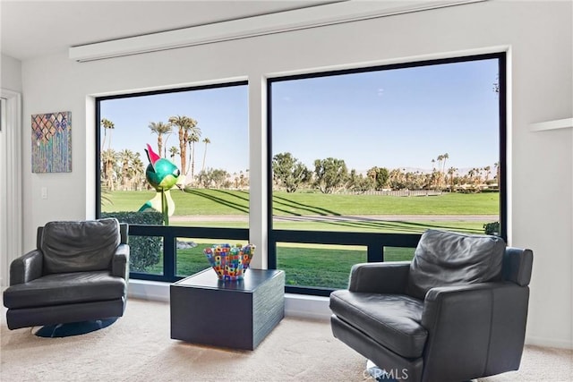 interior space featuring a wealth of natural light and carpet flooring