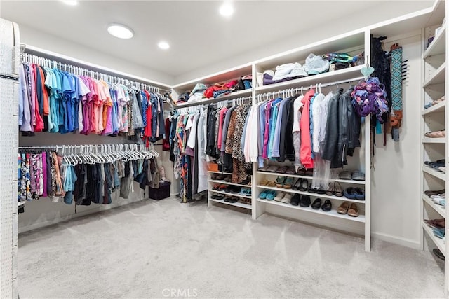 spacious closet with carpet