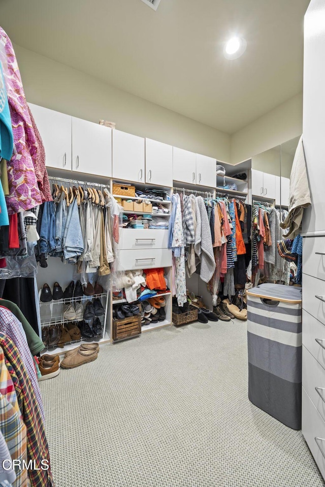 view of spacious closet