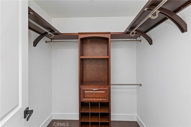 spacious closet with dark wood-type flooring