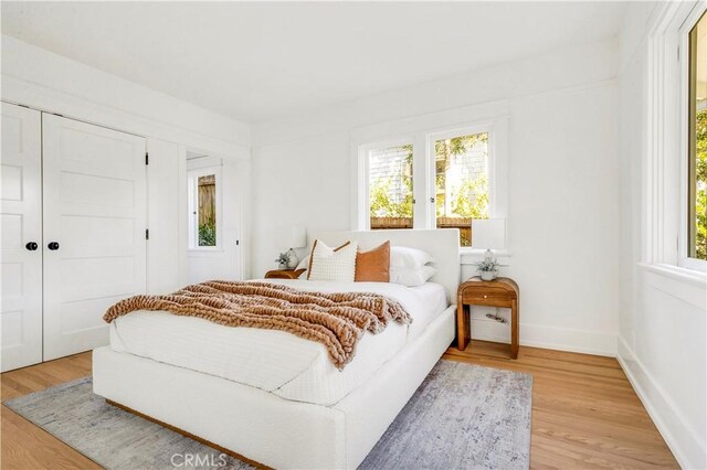 bedroom featuring light wood-type flooring and a closet