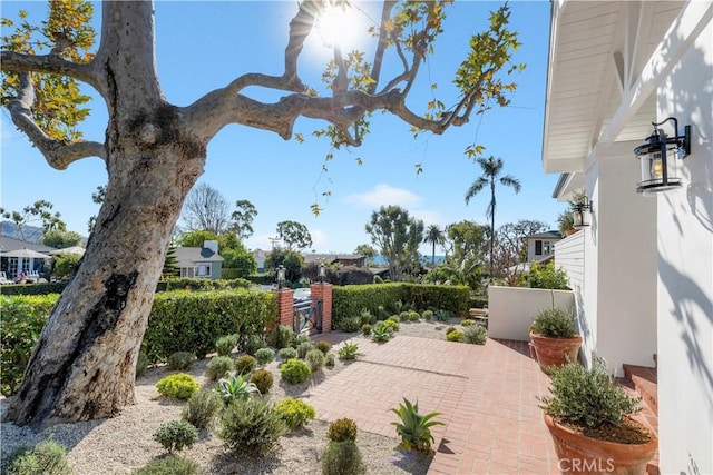 view of yard with a patio area