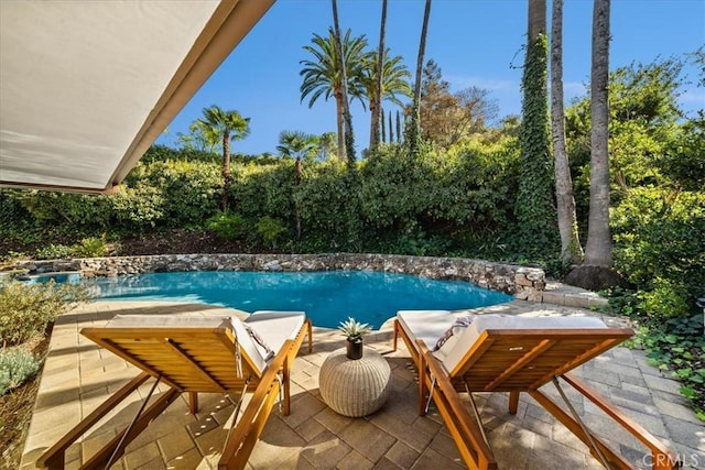 view of pool with a patio area