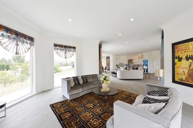 living room featuring ornamental molding and light hardwood / wood-style flooring