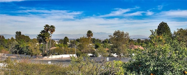 view of nature with a mountain view