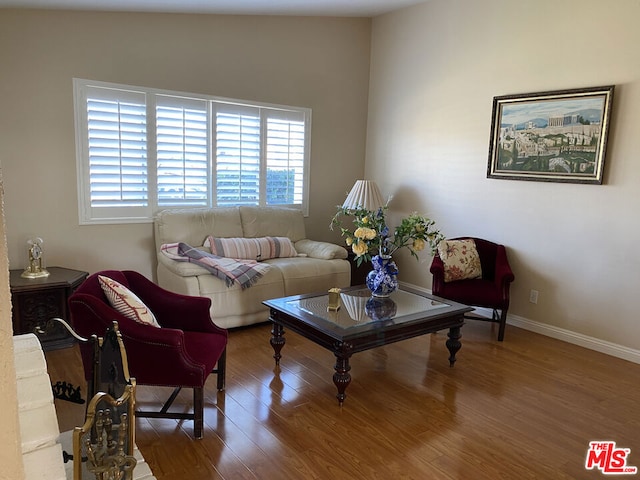 living room with hardwood / wood-style flooring